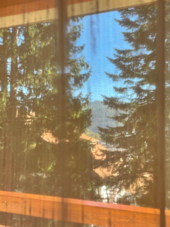 Apartament Lexannona Buşteni Buitenkant foto