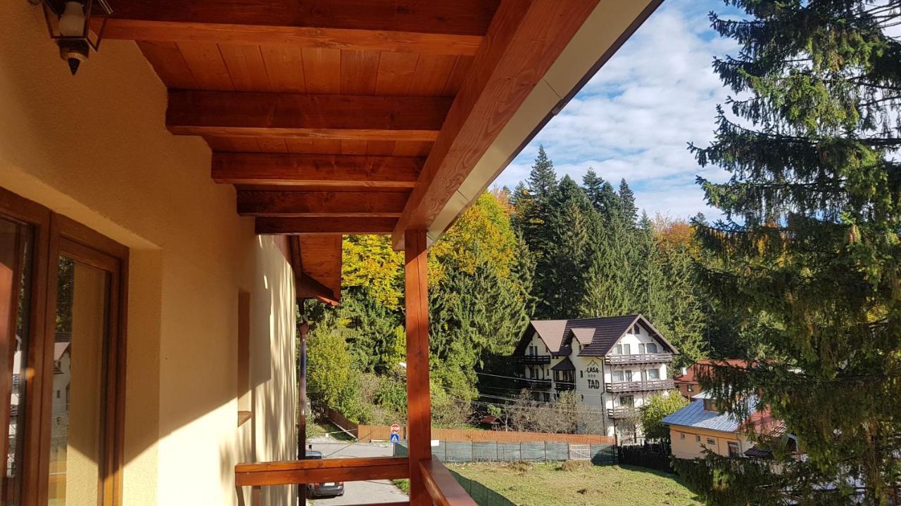 Apartament Lexannona Buşteni Buitenkant foto