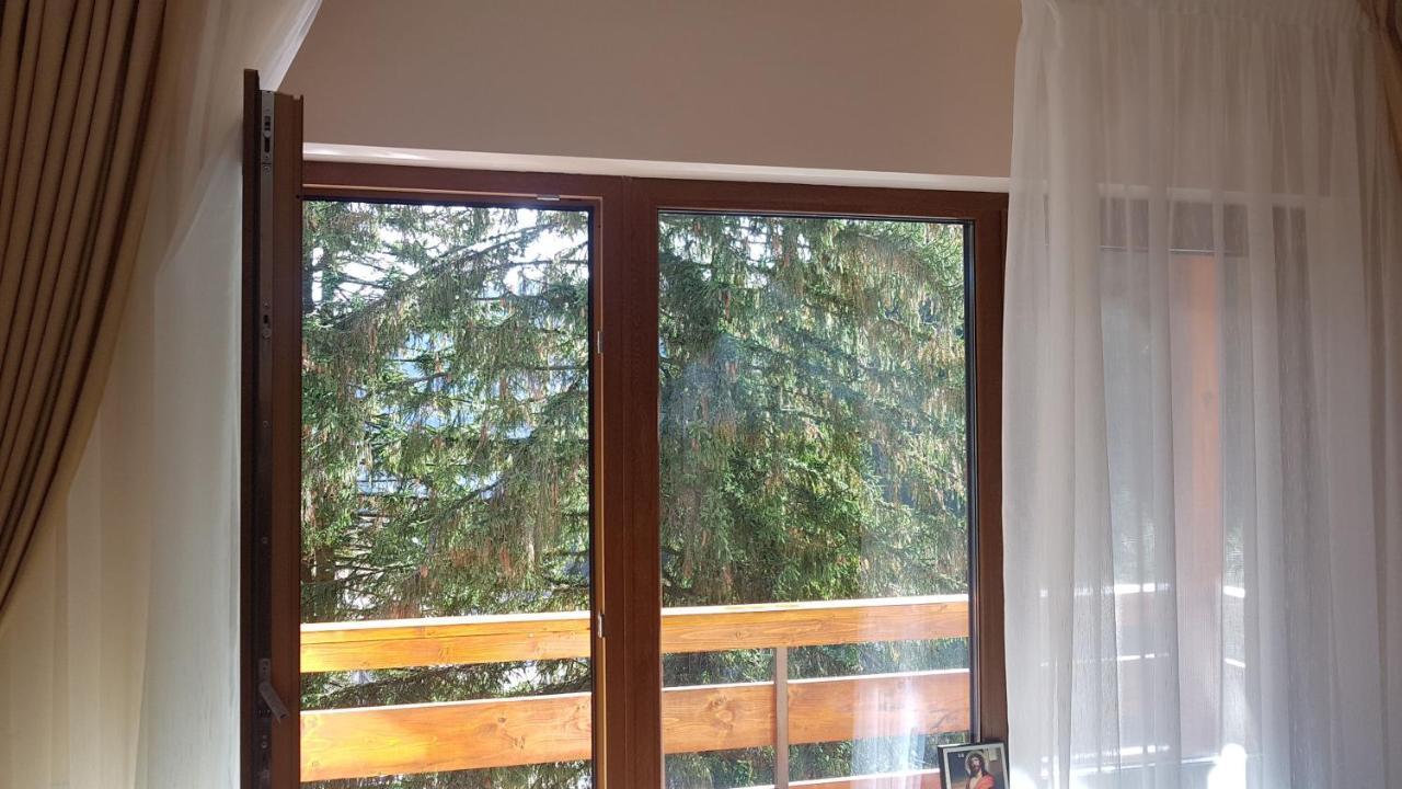 Apartament Lexannona Buşteni Buitenkant foto