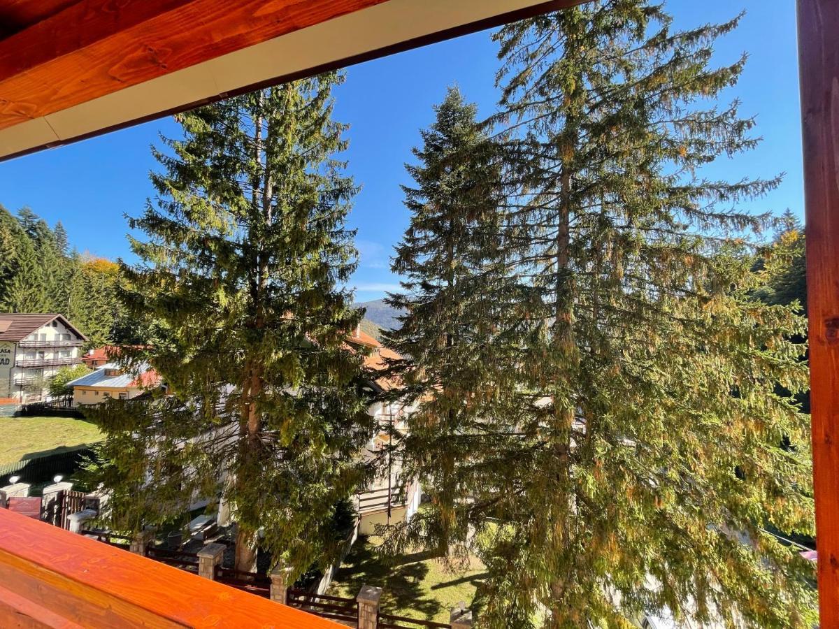 Apartament Lexannona Buşteni Buitenkant foto