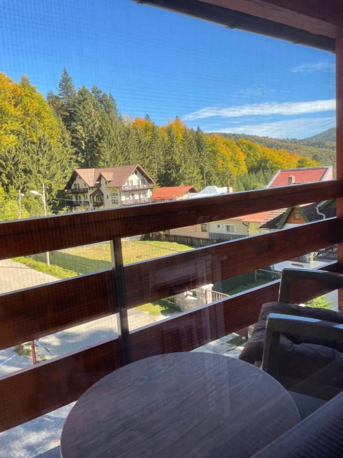 Apartament Lexannona Buşteni Buitenkant foto