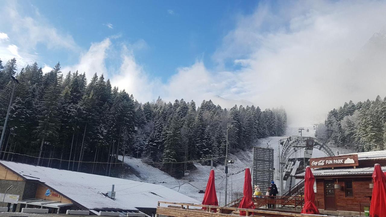 Apartament Lexannona Buşteni Buitenkant foto